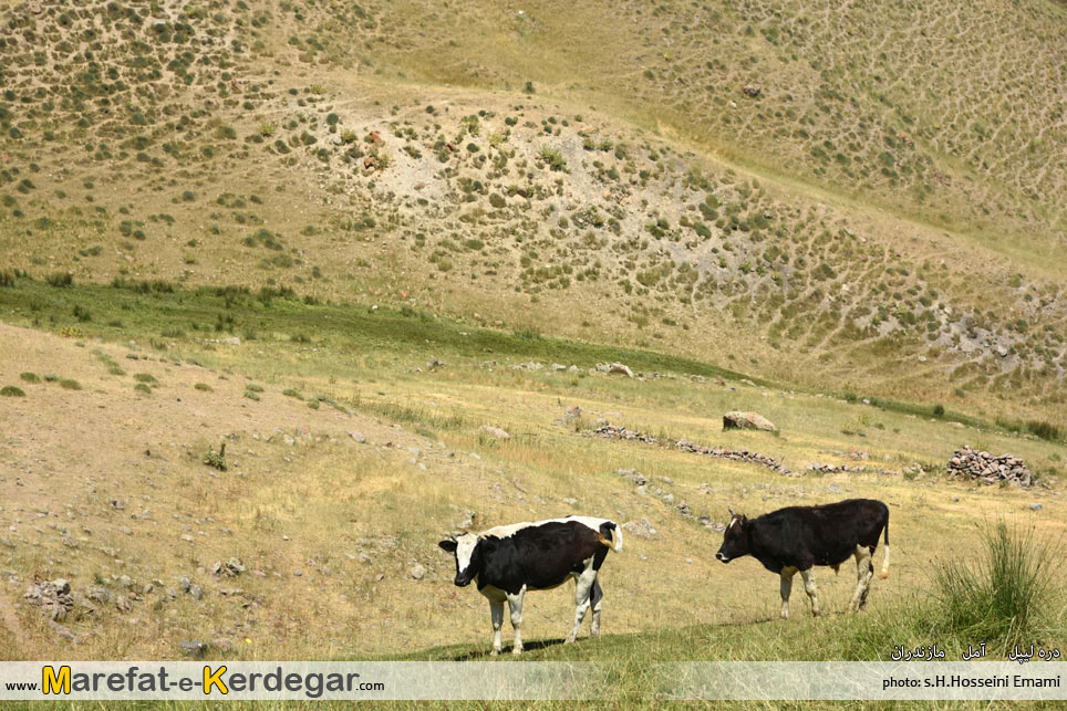 جاذبه های گردشگری مازندران